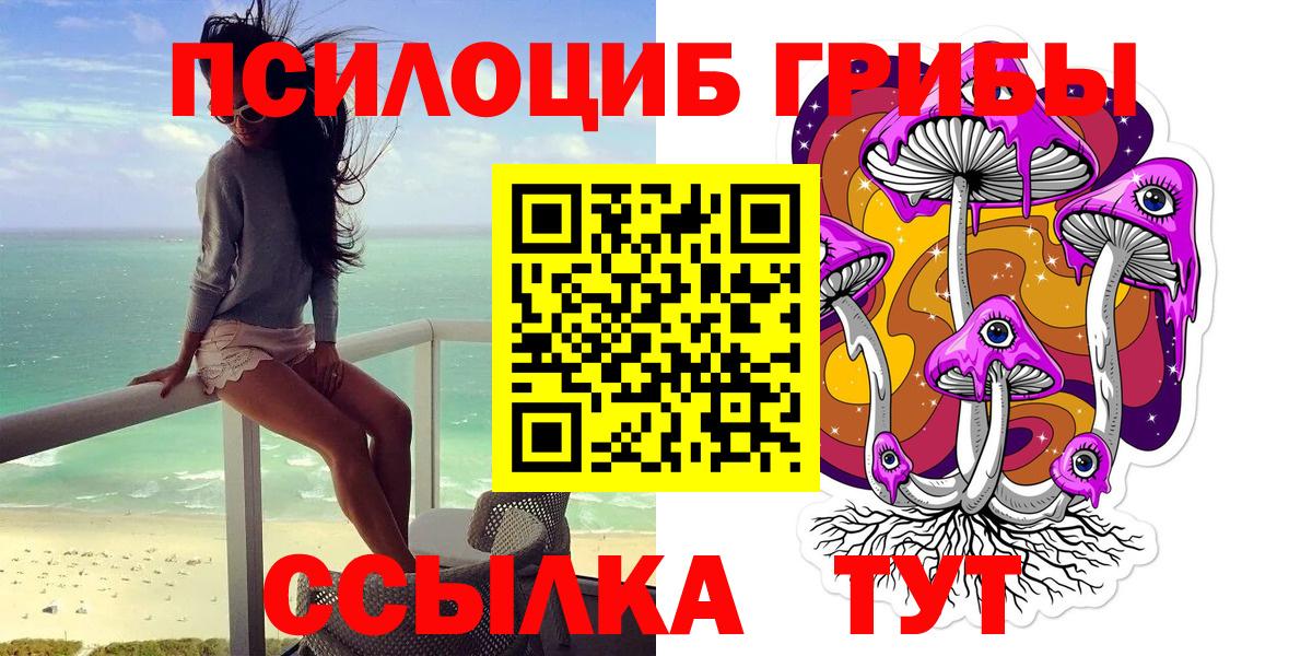 Егорьевск  Псилоцибиновые грибы Psilocybine cubensis  Галлюциногенные грибы мицелий  Вход с VPN 